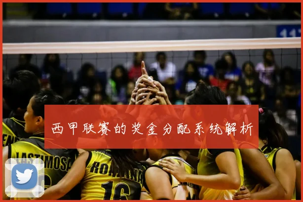 西甲联赛的奖金分配系统解析