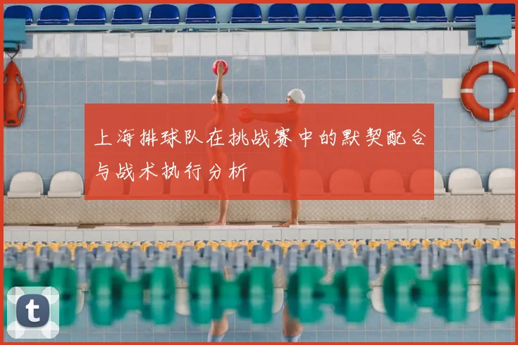 上海排球队在挑战赛中的默契配合与战术执行分析
