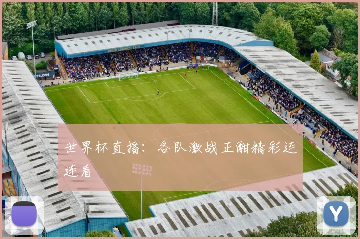 世界杯直播:各队激战正酣精彩连连看
