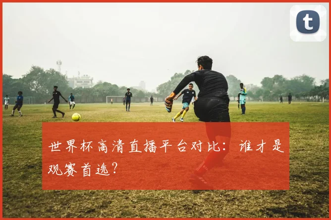 世界杯高清直播平台对比:谁才是观赛首选?