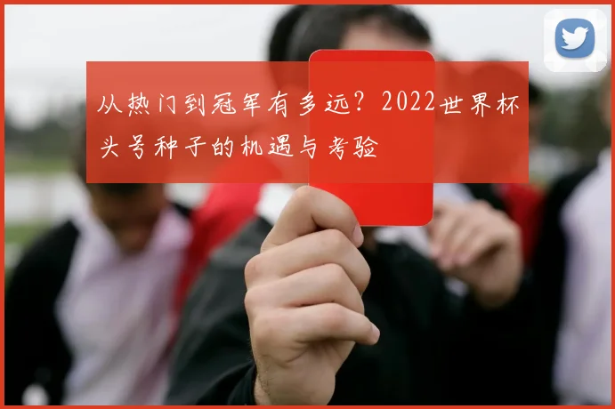 从热门到冠军有多远?2022世界杯头号种子的机遇与考验
