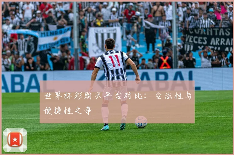 世界杯彩购买平台对比：合法性与便捷性之争