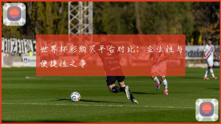 世界杯彩购买平台对比：合法性与便捷性之争