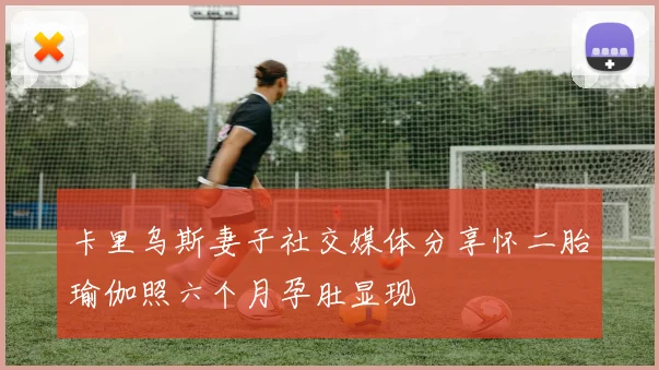 卡里乌斯妻子社交媒体分享怀二胎瑜伽照六个月孕肚显现