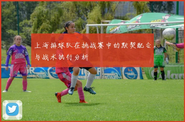 上海排球队在挑战赛中的默契配合与战术执行分析