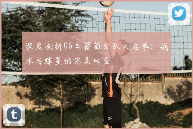 深度剖析06年葡萄牙队大名单：战术与球星的完美结合