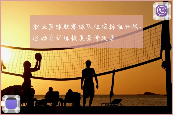 职业篮球联赛球队住宿标准升级，运动员训练恢复条件改善