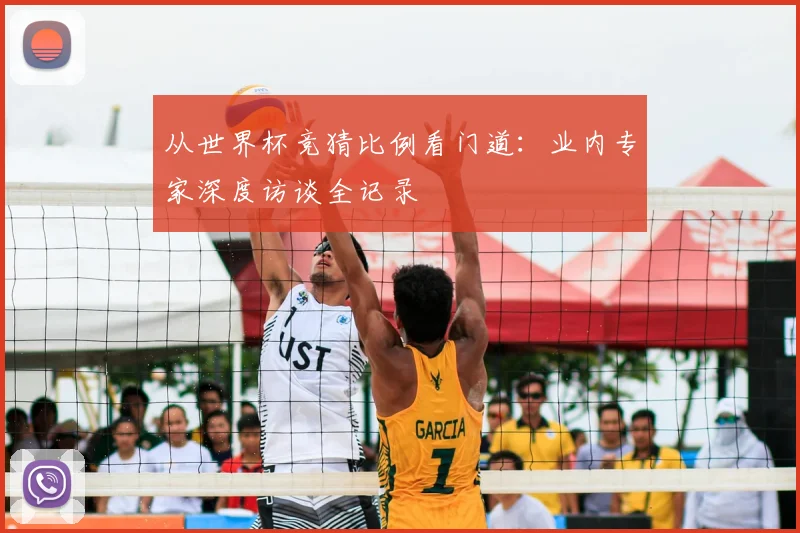 从世界杯竞猜比例看门道：业内专家深度访谈全记录
