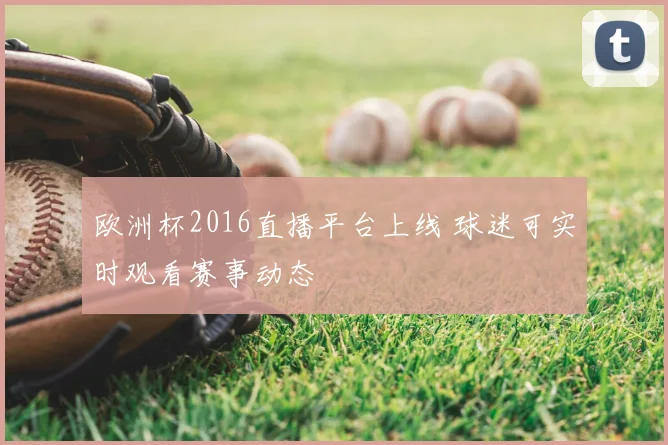 欧洲杯2016直播平台上线 球迷可实时观看赛事动态