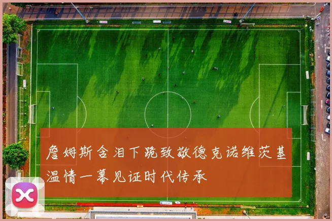 詹姆斯含泪下跪致敬德克诺维茨基温情一幕见证时代传承